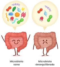 Vitaminas que no dañen el intestino,s diseñadas para tal fin con capsulas que se abran en intestino y no en estomago, sin excipientes